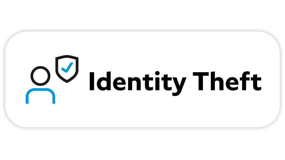 Identity theft icon