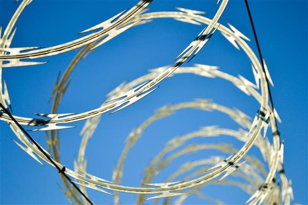 Barbed Wire