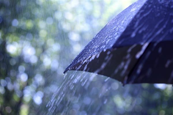 Umbrella in the Rain